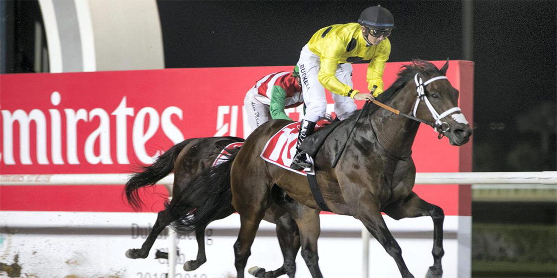 Dubai World Cup Horse Race